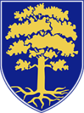 Waldsolms